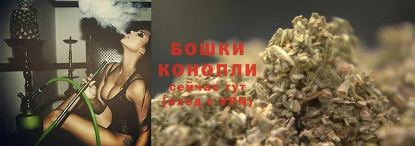прущие грибы Карталы