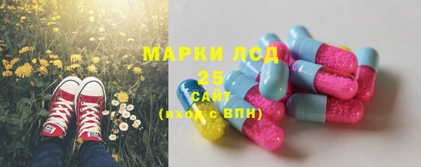 ГАЛЛЮЦИНОГЕННЫЕ ГРИБЫ Беломорск