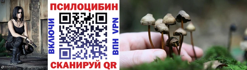сколько стоит Берёзовский Псилоцибиновые грибы Magic Shrooms
